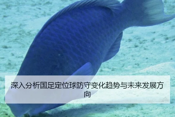 深入分析国足定位球防守变化趋势与未来发展方向